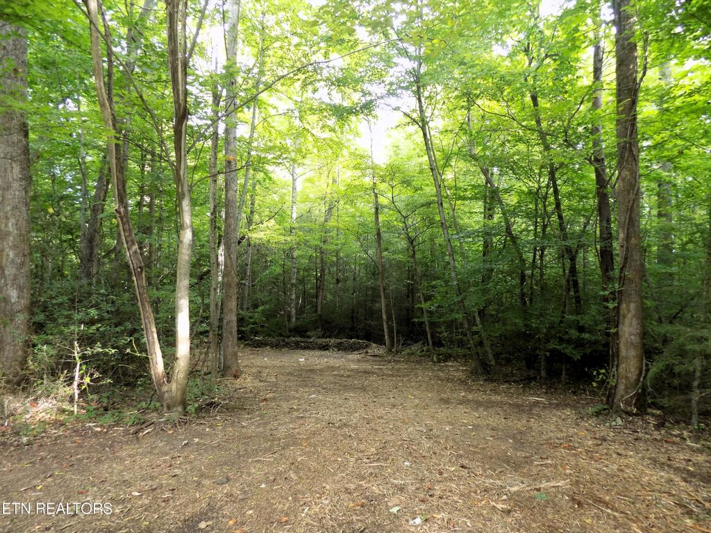Photo of 13 Hooper Hwy, Cosby, TN 37722 (MLS # 1272511)