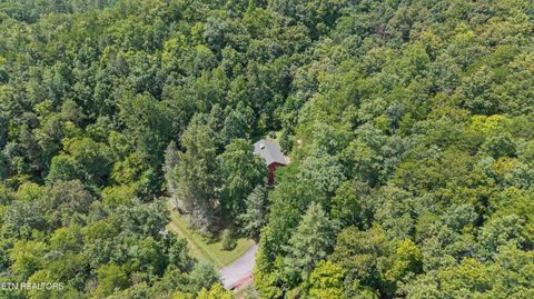 Tiny photo for 775 Boyd Way Way, Cosby, TN 37722 (MLS # 1314133)