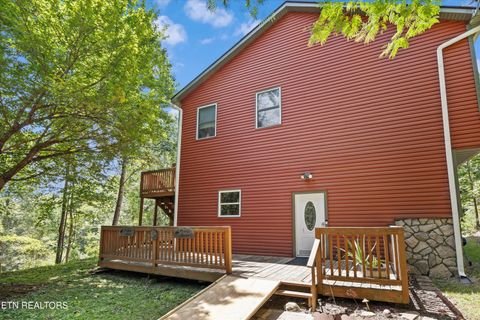 Tiny photo for 775 Boyd Way Way, Cosby, TN 37722 (MLS # 1314133)