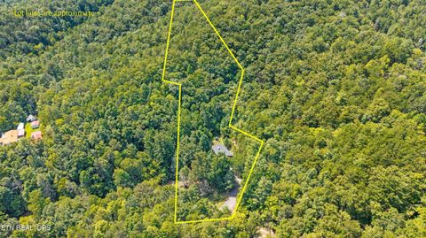 Tiny photo for 775 Boyd Way Way, Cosby, TN 37722 (MLS # 1314133)