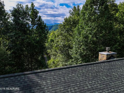 Tiny photo for 775 Boyd Way Way, Cosby, TN 37722 (MLS # 1314133)