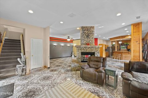 Tiny photo for 775 Boyd Way Way, Cosby, TN 37722 (MLS # 1314133)