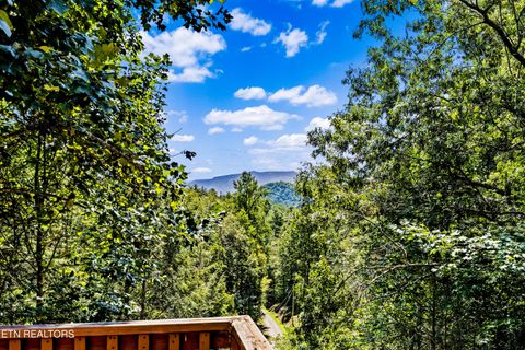 Tiny photo for 775 Boyd Way Way, Cosby, TN 37722 (MLS # 1314133)