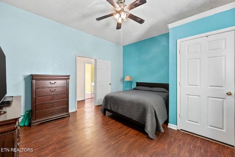 Tiny photo for 775 Boyd Way Way, Cosby, TN 37722 (MLS # 1314133)