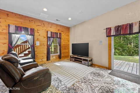 Tiny photo for 775 Boyd Way Way, Cosby, TN 37722 (MLS # 1314133)