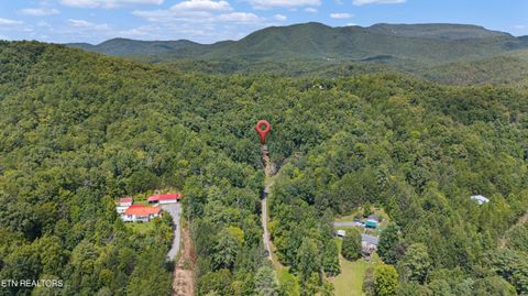 Tiny photo for 775 Boyd Way Way, Cosby, TN 37722 (MLS # 1314133)