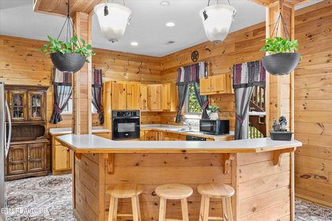 Tiny photo for 775 Boyd Way Way, Cosby, TN 37722 (MLS # 1314133)