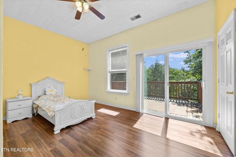 Tiny photo for 775 Boyd Way Way, Cosby, TN 37722 (MLS # 1314133)