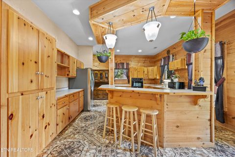 Tiny photo for 775 Boyd Way Way, Cosby, TN 37722 (MLS # 1314133)