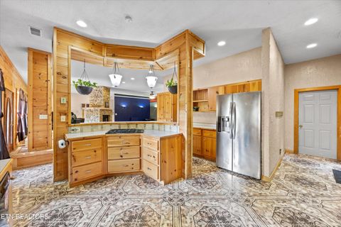 Tiny photo for 775 Boyd Way Way, Cosby, TN 37722 (MLS # 1314133)