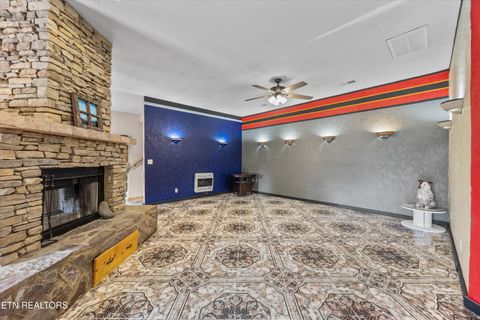 Tiny photo for 775 Boyd Way Way, Cosby, TN 37722 (MLS # 1314133)