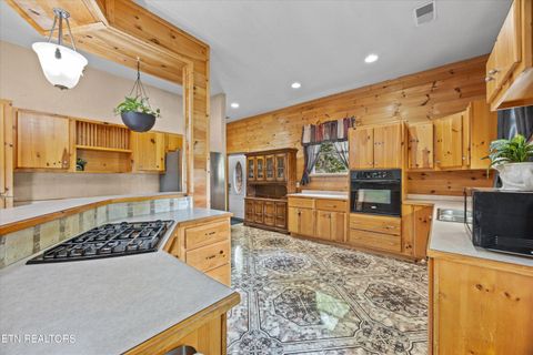 Tiny photo for 775 Boyd Way Way, Cosby, TN 37722 (MLS # 1314133)