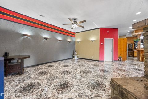 Tiny photo for 775 Boyd Way Way, Cosby, TN 37722 (MLS # 1314133)