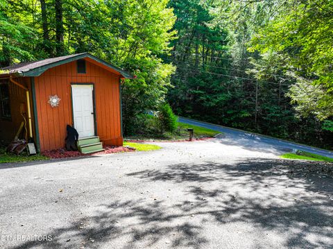 Tiny photo for 775 Boyd Way Way, Cosby, TN 37722 (MLS # 1314133)
