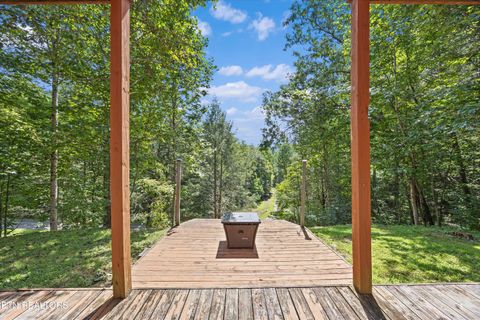 Tiny photo for 775 Boyd Way Way, Cosby, TN 37722 (MLS # 1314133)