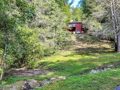 Tiny photo for 775 Boyd Way Way, Cosby, TN 37722 (MLS # 1314133)