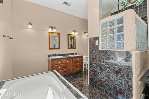 Tiny photo for 775 Boyd Way Way, Cosby, TN 37722 (MLS # 1314133)