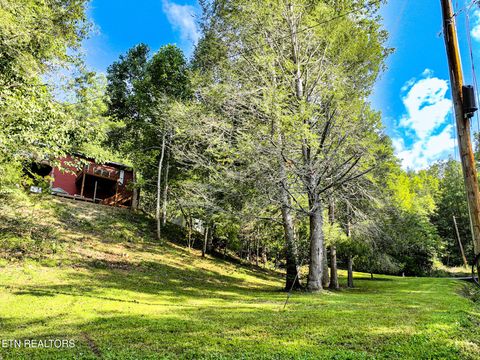 Tiny photo for 775 Boyd Way Way, Cosby, TN 37722 (MLS # 1314133)