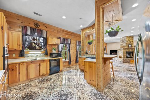 Tiny photo for 775 Boyd Way Way, Cosby, TN 37722 (MLS # 1314133)