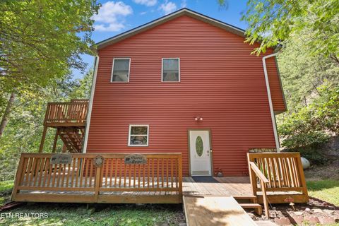 Tiny photo for 775 Boyd Way Way, Cosby, TN 37722 (MLS # 1314133)