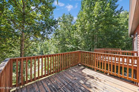 Tiny photo for 775 Boyd Way Way, Cosby, TN 37722 (MLS # 1314133)
