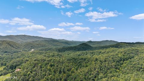 Tiny photo for 775 Boyd Way Way, Cosby, TN 37722 (MLS # 1314133)