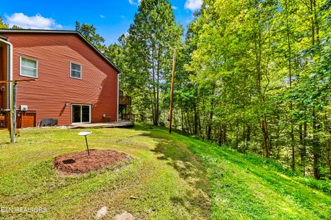 Tiny photo for 775 Boyd Way Way, Cosby, TN 37722 (MLS # 1314133)