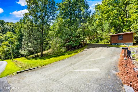 Tiny photo for 775 Boyd Way Way, Cosby, TN 37722 (MLS # 1314133)