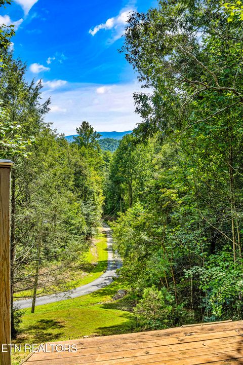 Tiny photo for 775 Boyd Way Way, Cosby, TN 37722 (MLS # 1314133)