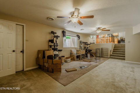 Tiny photo for 6904 Millertown Pike, Knoxville, TN 37924 (MLS # 1346672)