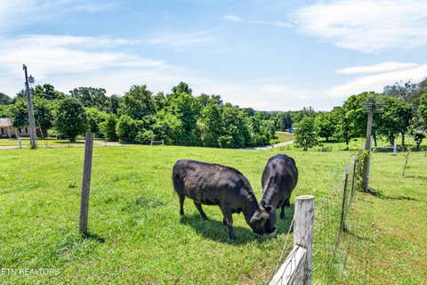 Tiny photo for 105 Foothills Rd, Pikeville, TN 37367 (MLS # 1349667)