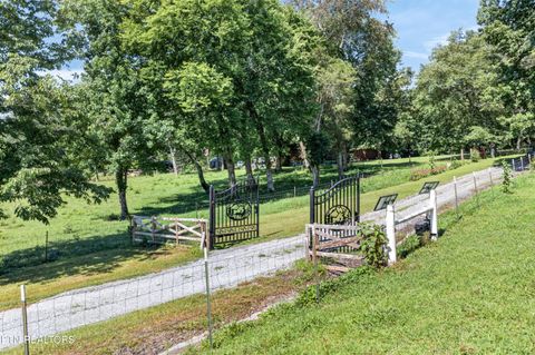 Tiny photo for 105 Foothills Rd, Pikeville, TN 37367 (MLS # 1349667)