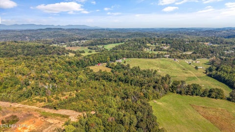 Tiny photo for 199 Canter Way, Lenoir City, TN 37771 (MLS # 1359998)