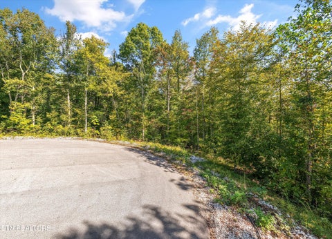 Tiny photo for 199 Canter Way, Lenoir City, TN 37771 (MLS # 1359998)