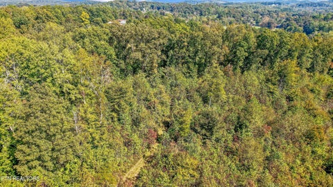Tiny photo for 199 Canter Way, Lenoir City, TN 37771 (MLS # 1359998)
