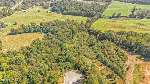 Photo of 199 Canter Way, Lenoir City, TN 37771 (MLS # 1359998)