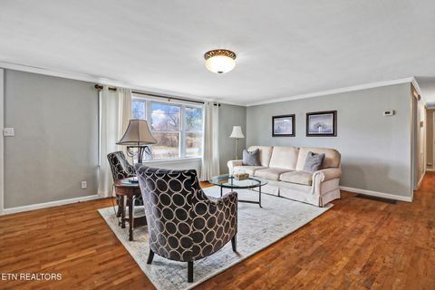 Tiny photo for 270 Hugh Jones Rd, Sunbright, TN 37872 (MLS # 1331058)