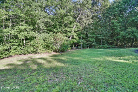 Tiny photo for 1414 Pilgrim Drive, Grimsley, TN 38565 (MLS # 1355624)