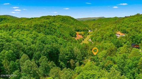 Tiny photo for 4264 New Pioneer Tr, Pigeon Forge, TN 37863 (MLS # 1339124)