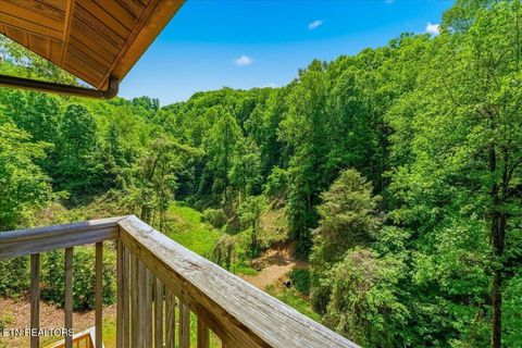 Tiny photo for 4264 New Pioneer Tr, Pigeon Forge, TN 37863 (MLS # 1339124)