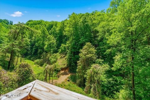 Tiny photo for 4264 New Pioneer Tr, Pigeon Forge, TN 37863 (MLS # 1339124)