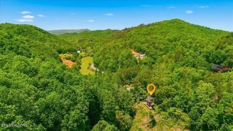 Tiny photo for 4264 New Pioneer Tr, Pigeon Forge, TN 37863 (MLS # 1339124)