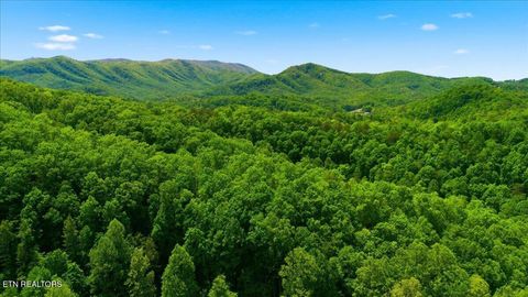 Tiny photo for 4264 New Pioneer Tr, Pigeon Forge, TN 37863 (MLS # 1339124)