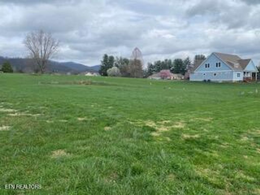 Photo of 125 LILAC Lane, Speedwell, TN 37870 (MLS # 1332290)