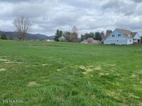 Photo of 125 LILAC Lane, Speedwell, TN 37870 (MLS # 1332290)