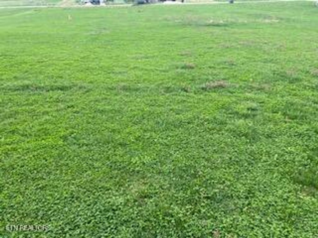 Photo of 125 LILAC Lane, Speedwell, TN 37870 (MLS # 1332290)