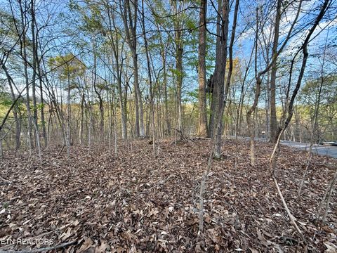 Tiny photo for 1522 Catoosa Drive, Mooresburg, TN 37811 (MLS # 1331987)