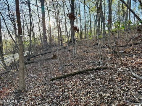 Tiny photo for 1522 Catoosa Drive, Mooresburg, TN 37811 (MLS # 1331987)