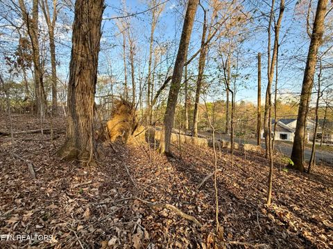 Tiny photo for 1522 Catoosa Drive, Mooresburg, TN 37811 (MLS # 1331987)