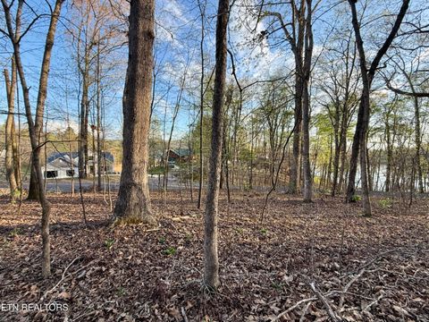Tiny photo for 1522 Catoosa Drive, Mooresburg, TN 37811 (MLS # 1331987)